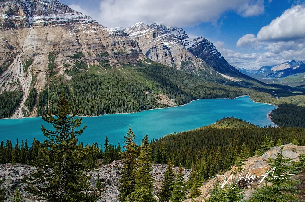 Peyto Lake-DSC_5297