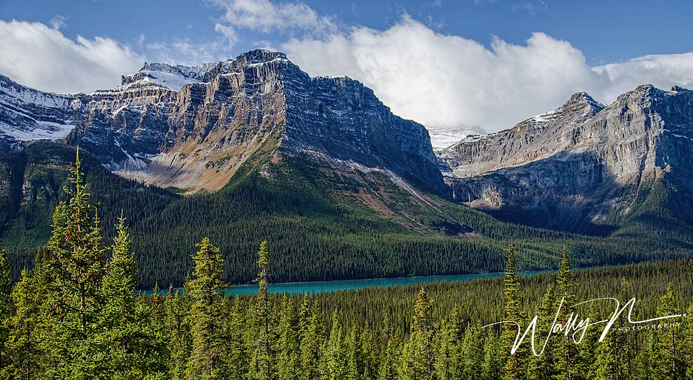 Hector Lake_DSC_5285