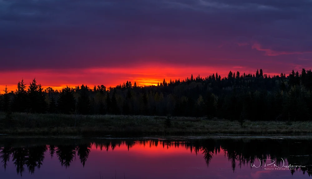 Sibbald Sunrise_073A3930