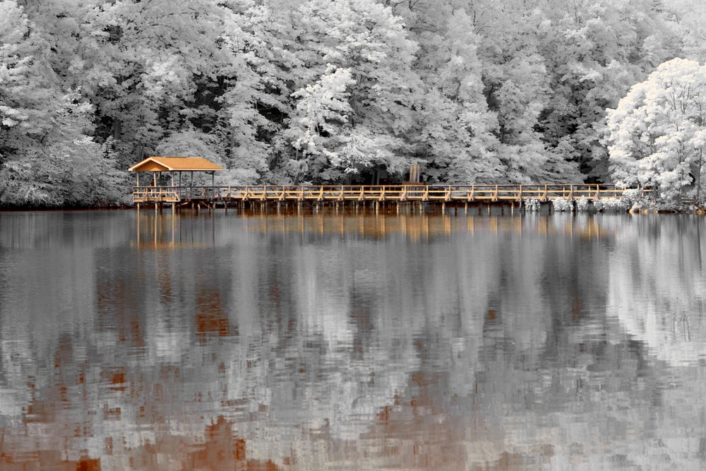 IR Park