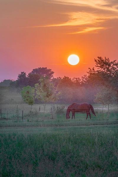 Lazy Evening Sunset - Sun Rise/Set - Allan Barnett Photography  