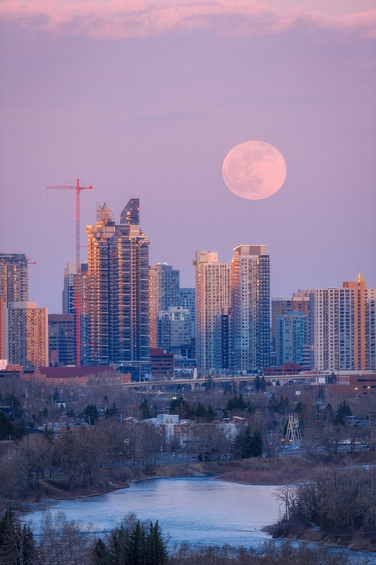 Pink Moon Over Calgary, Alberta