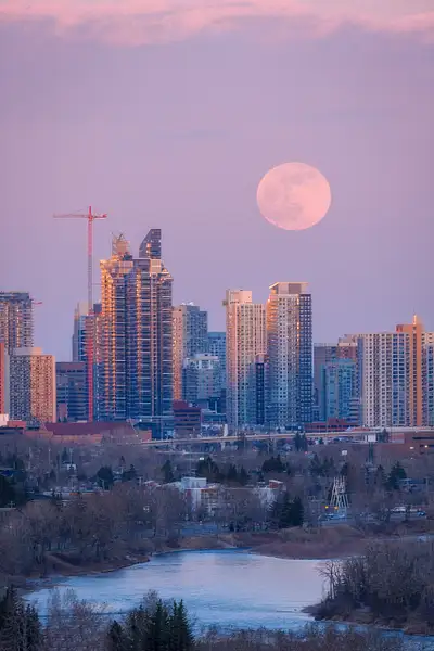 Pink Moon Over Calgary, Alberta by Yves Gagnon