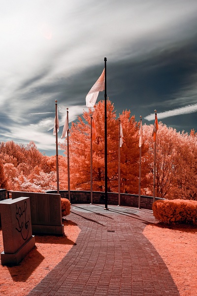 Vietnam War Memorial-Highland Park Rochester NY (IR1875) - Lights Camera Infrared - Bella Mondo Images 