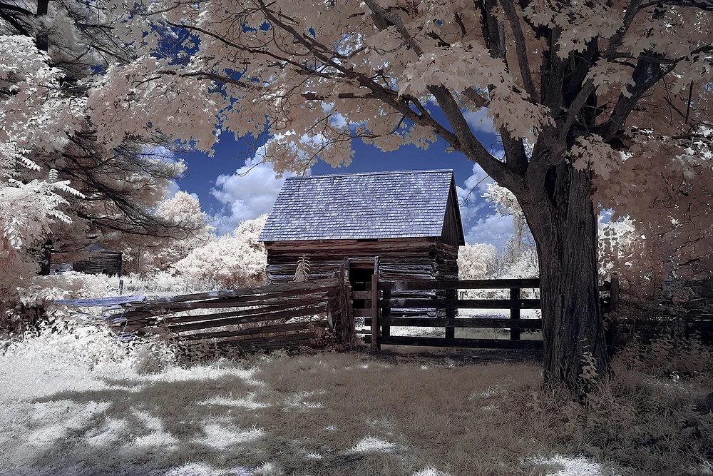 Charming Log Cabin in Ethereal Infrared Serenity