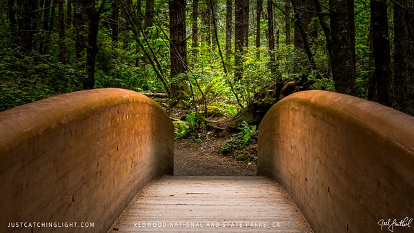 RedwoodNSPbridge - justcatchinglight