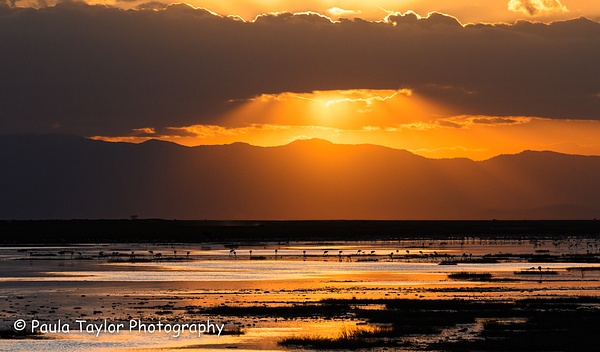 Sunset Amboseli National Park Kenya - Home - Paula Taylor Photography