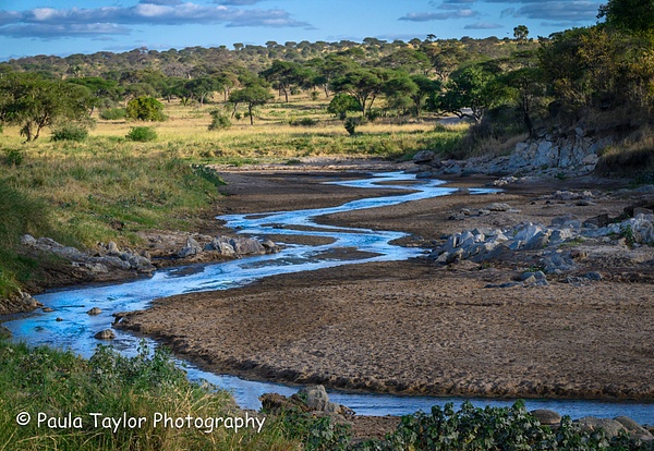 Tarangire National Park Tanzania - Scapes - Paula Taylor Photography
