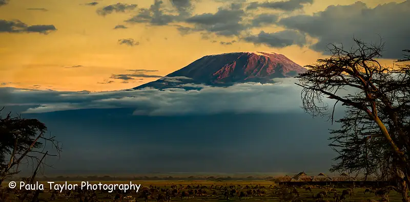 Mt Kilamanjaro Amboseli