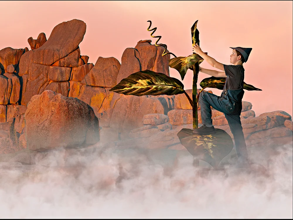 Jack & Beanstalk composite rectangle