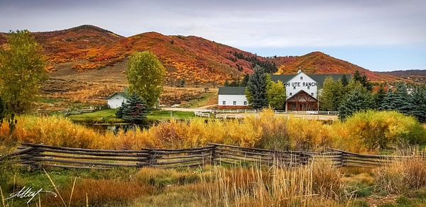 Ute-Ranch-Fall-Colors-16x9 - Landscape &amp; Floral - ResonantPhotos