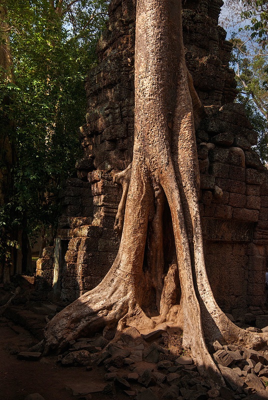 2012-04-Taprohm-0047-res