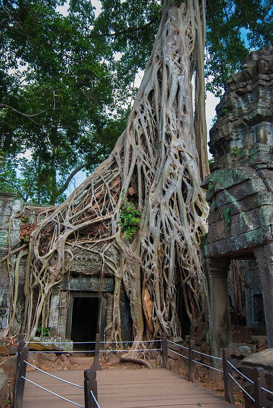 2012-04-Taprohm-0082-res
