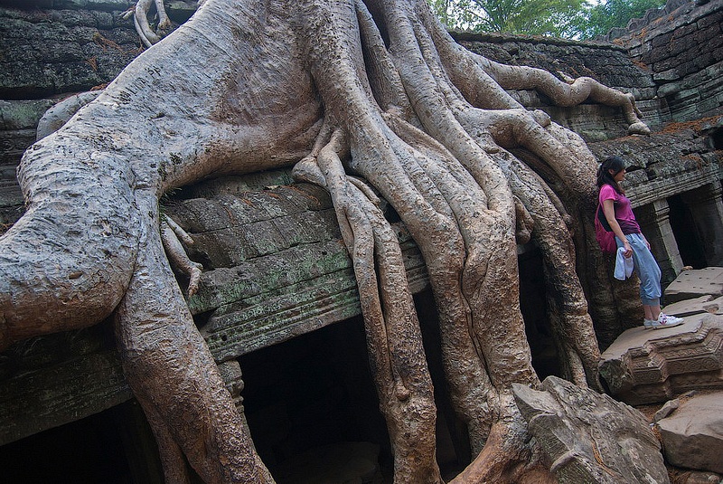 2012-04-Taprohm-0087-res