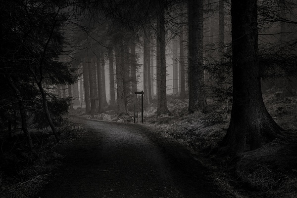 Beecraigs Country Park - Monochrome photography