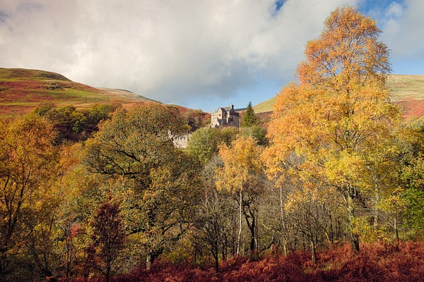 Dollar Glen: DG001 - Scottish Landscape Photography