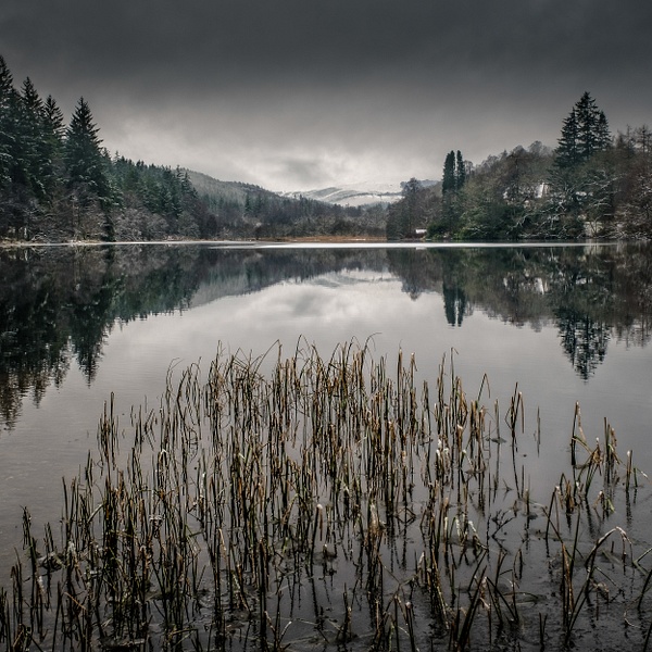 Loch Ard - David Queenan Photography square images 
