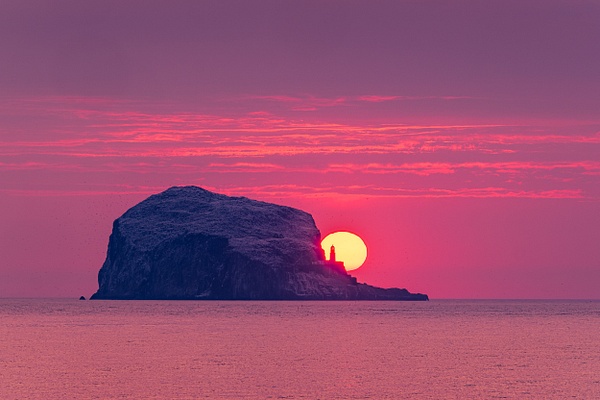 Bass Rock Light - Sea &amp;amp; Coastline - David Queenan Photography