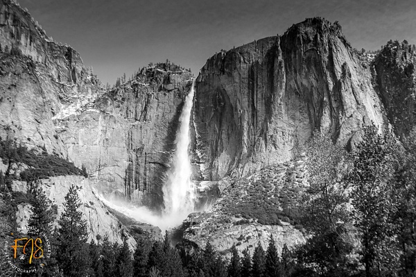 DSC_8918 - Yosemite National Park - FJ Shacklett Photography 