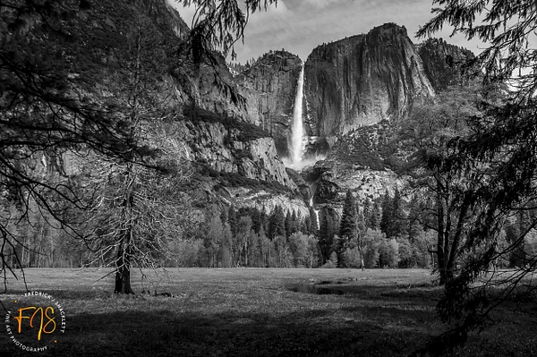 DSC_8971-2 - Yosemite National Park - FJ Shacklett Photography 
