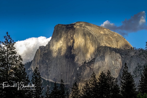 Yosemite 034 - Yosemite National Park - FJ Shacklett Photography 