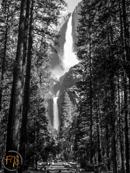 Yosemite 039 - Yosemite National Park - Fredrick Shacklett Fine Art Photography 