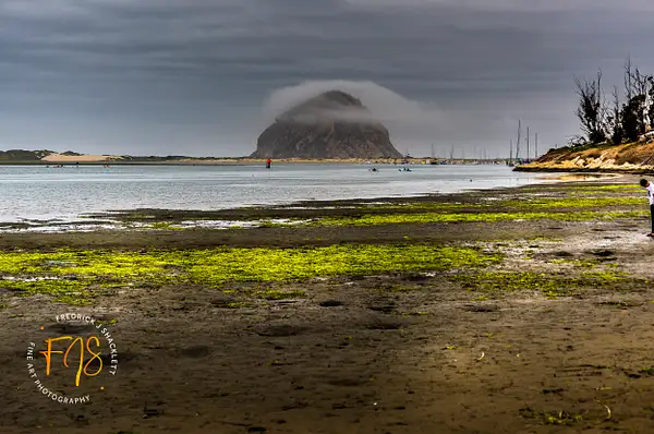 Morro Bay CA (1) by PhotoShacklett