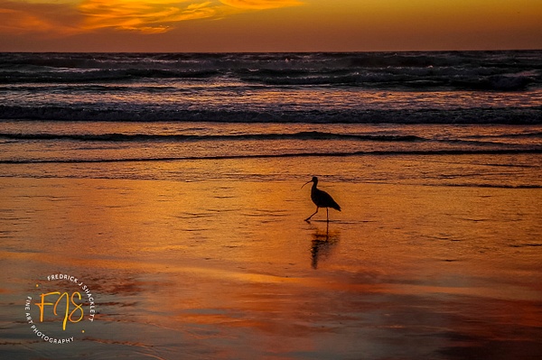 Sunsets (22) - FJ Shacklett Photography
