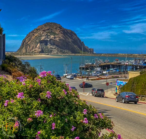 Morro Rock at Beach Avenue - Morro Bay Rock, Calif - FJ Shacklett Photography