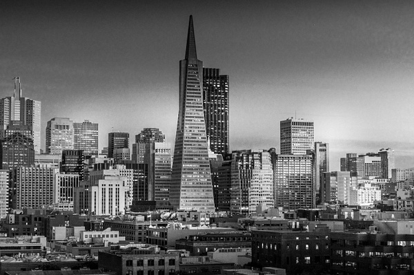 San Francisco Evening BlackWhite - FJ Shacklett Photography 