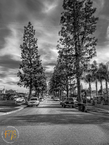 Maidstone Street with Trees - Airshows - Fredrick Shacklett Fine Art Photography