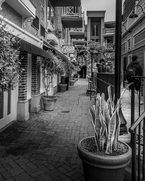 Side Street on Catalina Island by PhotoShacklett