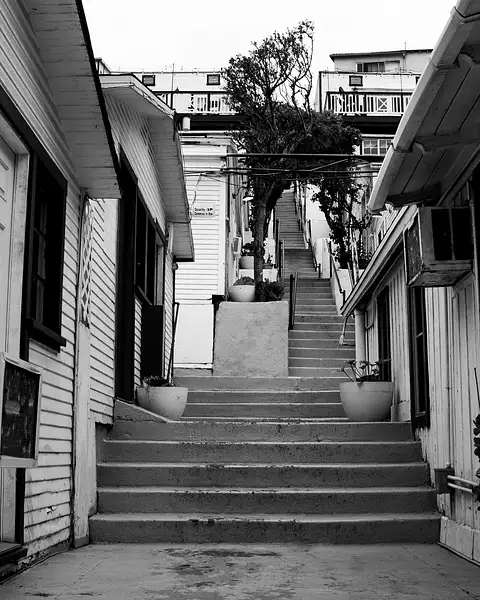 Long Stairway Catalina Island by PhotoShacklett