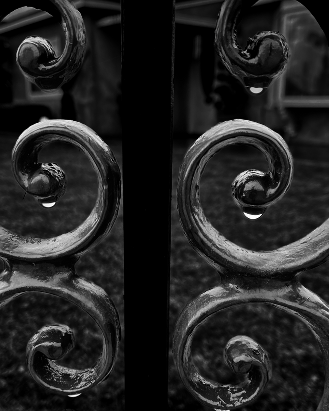 Wrought Iron Fence After Rain
