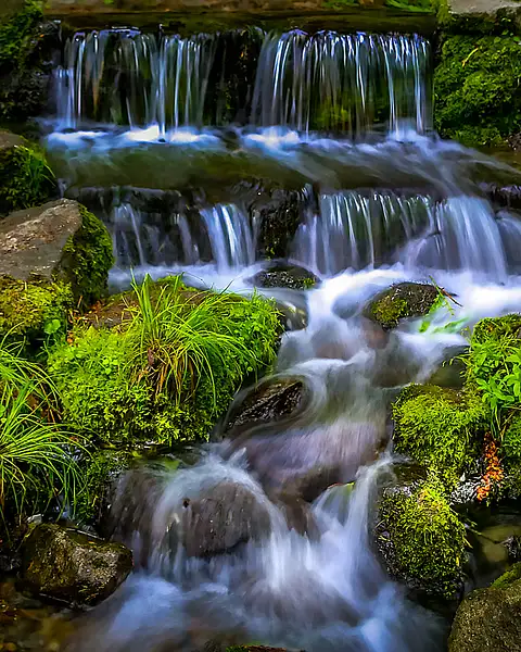 Tranquil Yosemite Spring Stream 1 by PhotoShacklett