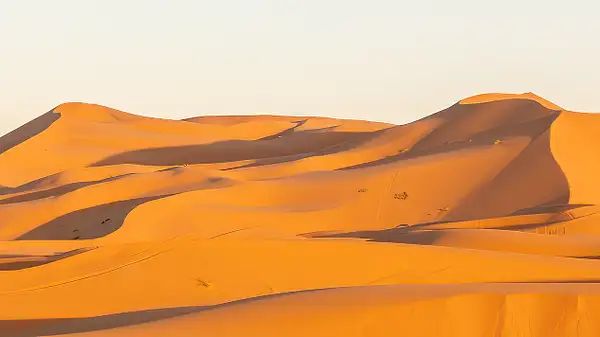 Saharan Dunes by VickiStephens