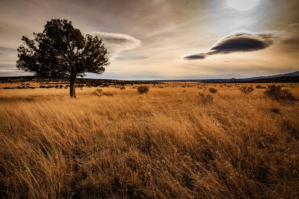 Capitan - New Mexico