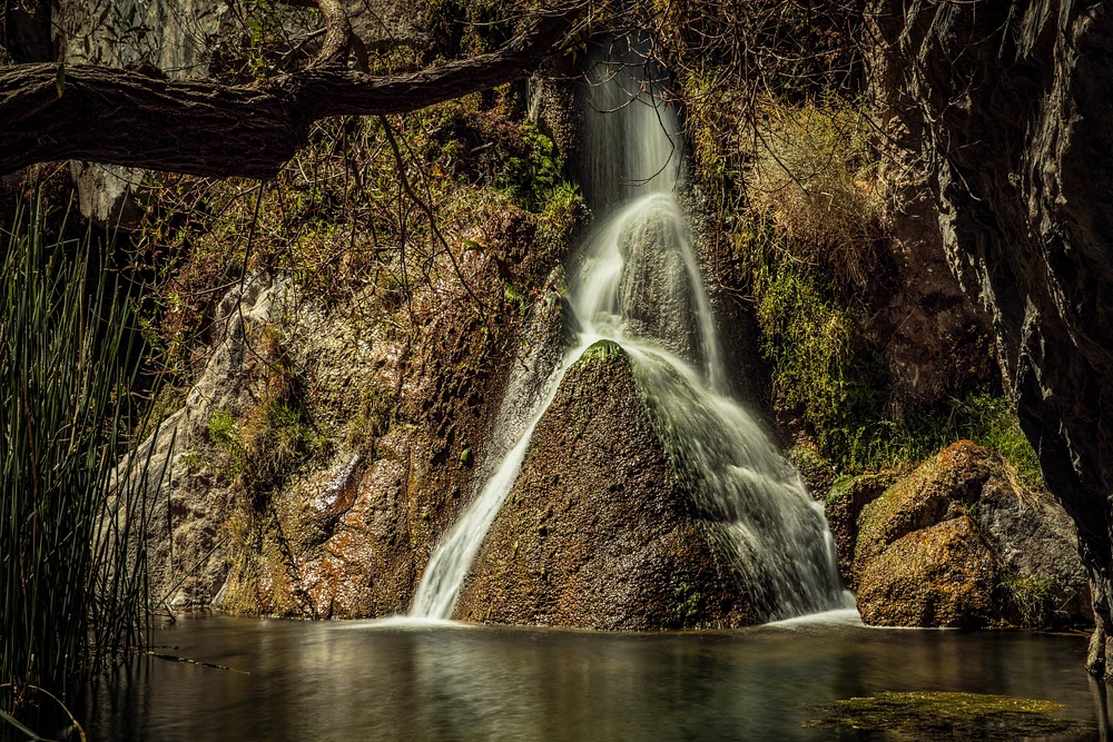 Darwin Falls - Death Valley  CA
