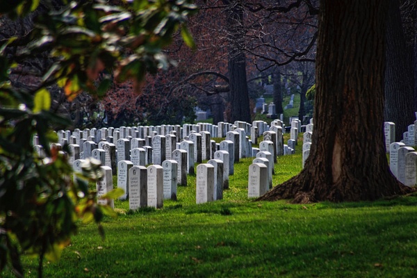 Arlington Cemetery - Americana - SaddleRock Photography 