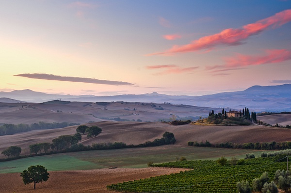 Val d'Orcia, Italy - Landscape -  Marcs Photo 