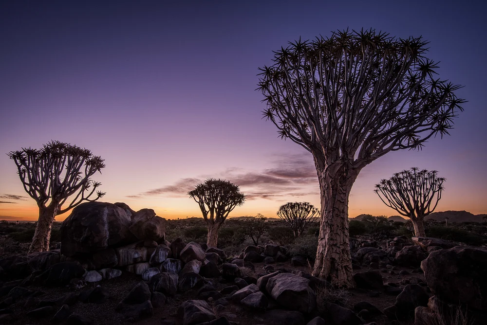 042015_Namibie_1569-Modifier-1