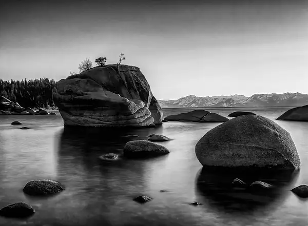 Bonsai Rock by Doug Arnold