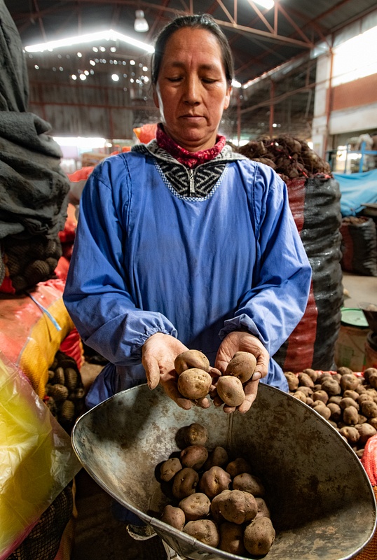 Potatoes in Peru-9