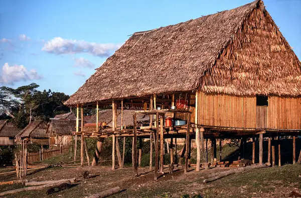 Peruvian Amazon 1989-15 by Michael Major