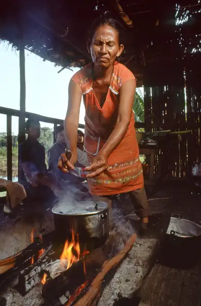 Peruvian Amazon 1989-5 by Michael Major