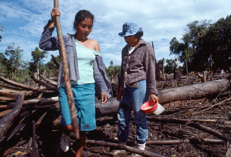 Peruvian Amazon 1989-8