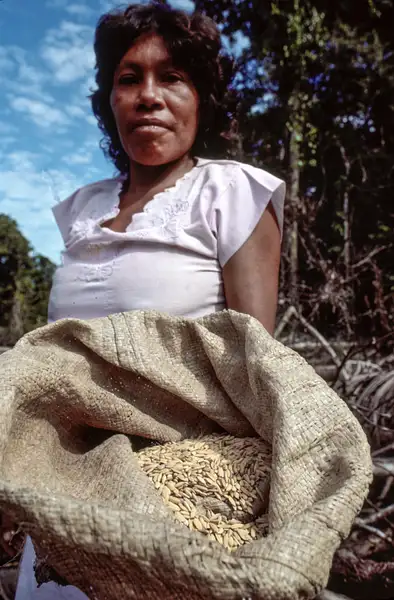 Peruvian Amazon 1989-9 by Michael Major