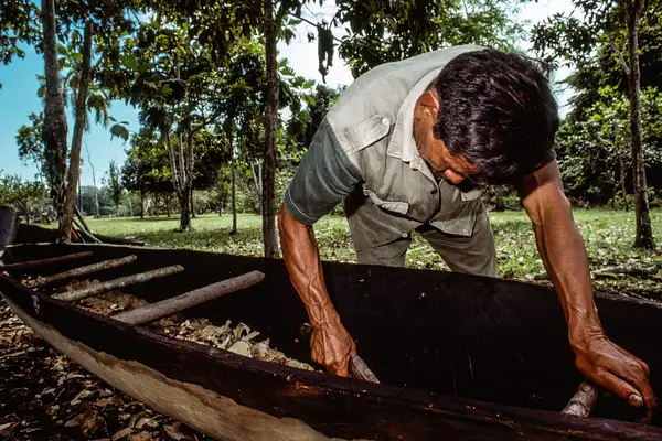 Peruvian Amazon 1989-14 by Michael Major