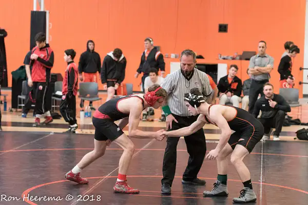 Wayland Wrestling Sectionals 2018 by Ron Heerema by Ron...