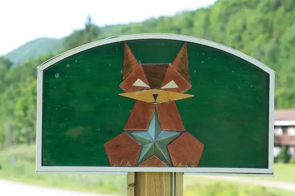 Fox Star at Killington 2020 by Ron Heerema